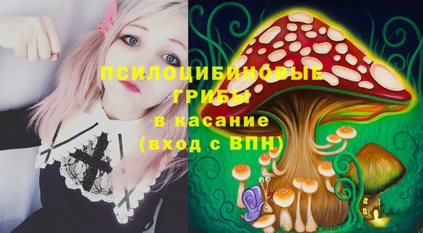 мескалин Арсеньев